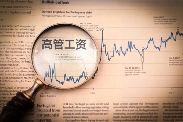 巨亏79亿“止血”之后：天齐锂业高管平均涨薪158万，股东零回报！