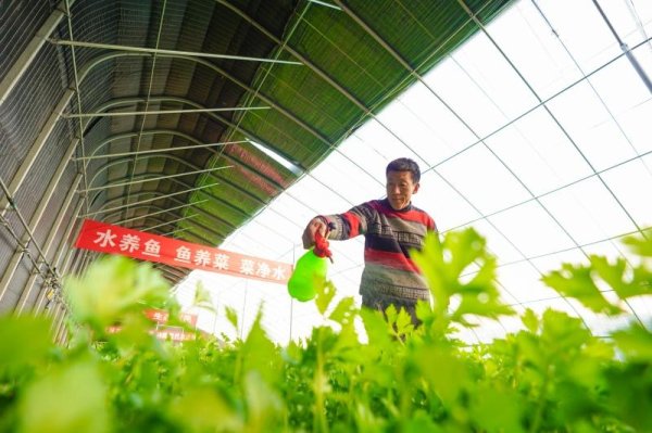 环境向美，产业向绿——河北省乐亭县“和美乡村”建设绘出新图景